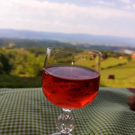 Oldhouse Knezovo Σπίτι διακοπών *